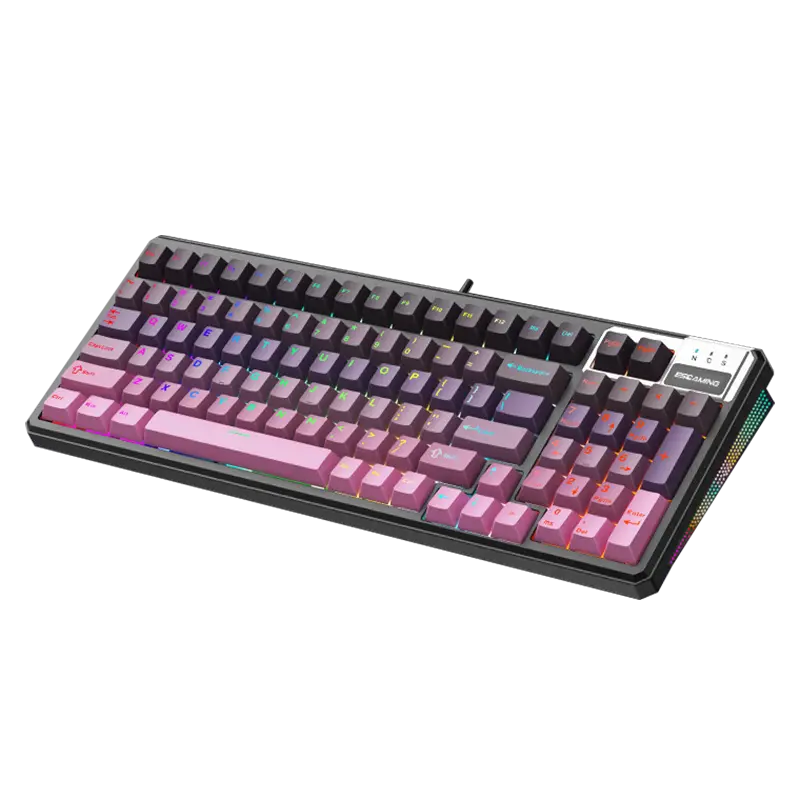 Personal PC Manufacturer ESGAMING - - ESGAMING 5