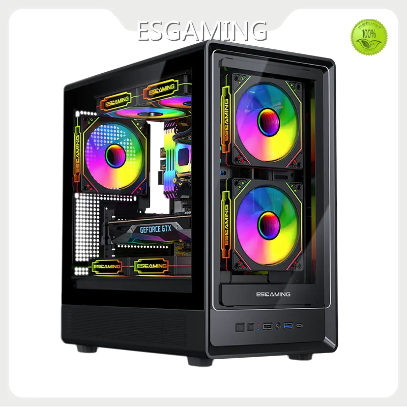 Case per PC da gioco personalizzato ESGAMING di ESGAMING 1